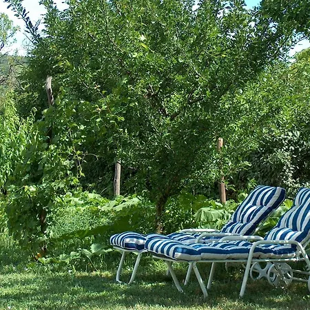 Rozsilak Konukevi Balatonfüred